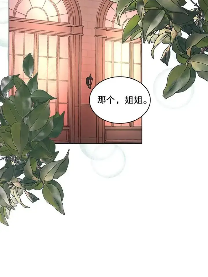 《穿书已经穿腻了》31.护卫骑士图83
