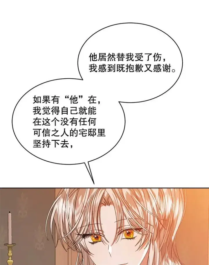 《穿书已经穿腻了》31.护卫骑士图95