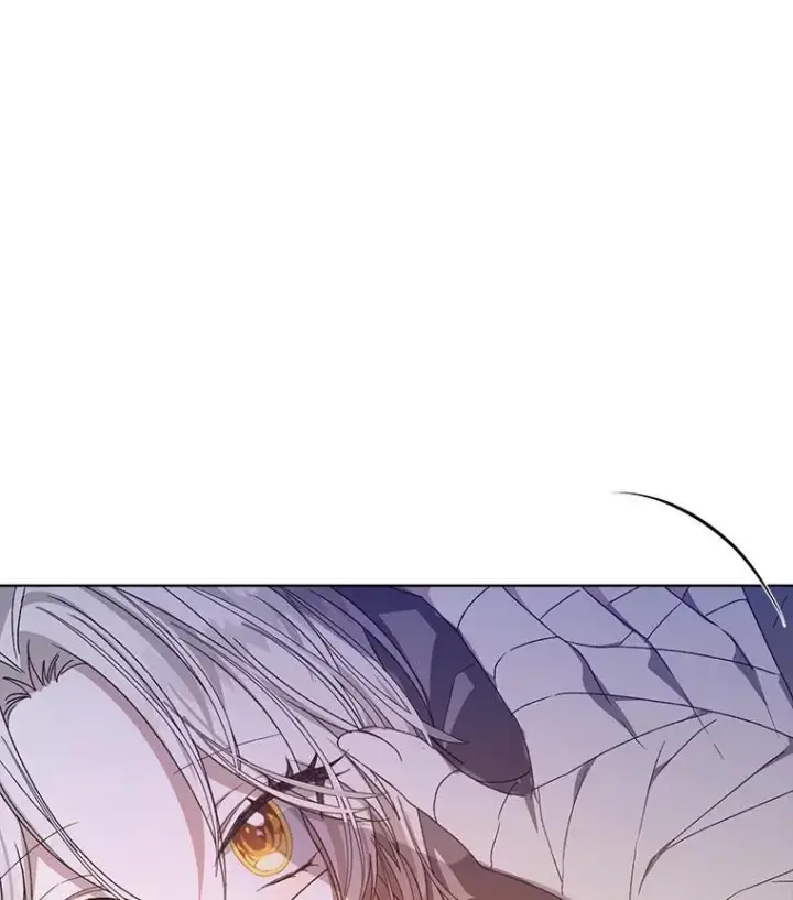 《穿书已经穿腻了》11.真真假假图74