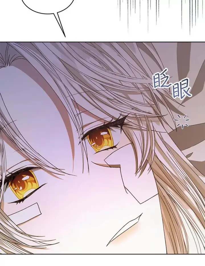 《穿书已经穿腻了》11.真真假假图80