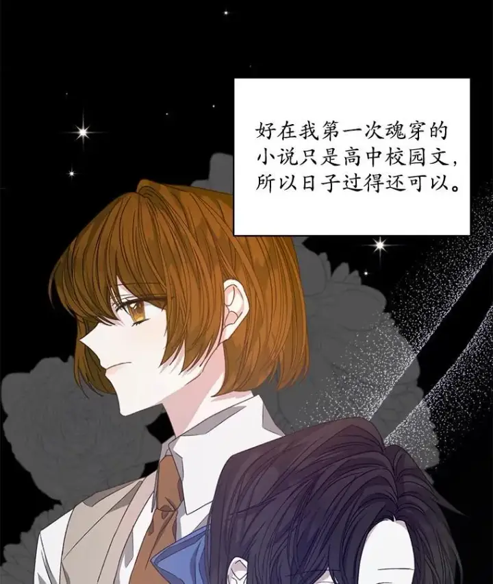 《穿书已经穿腻了》11.真真假假图95
