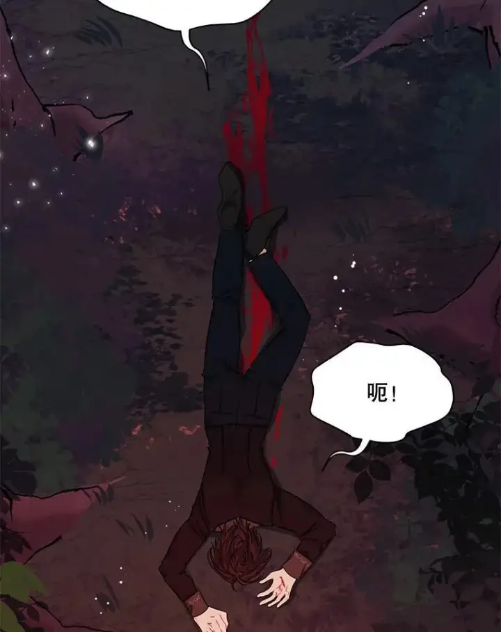 《穿书已经穿腻了》14.等待卡西翁图102