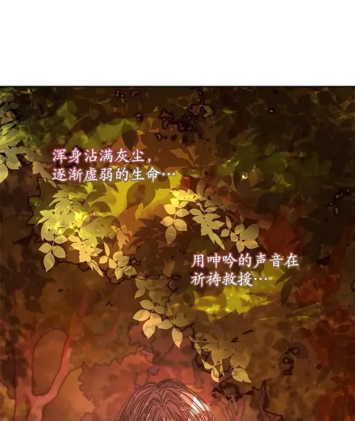 《穿书已经穿腻了》14.等待卡西翁图104