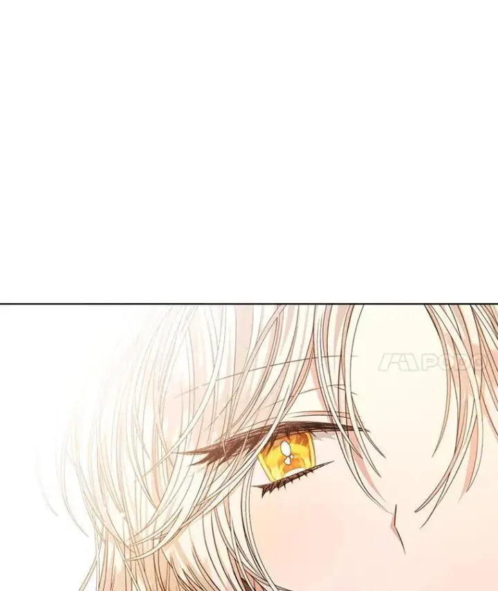 《穿书已经穿腻了》14.等待卡西翁图106