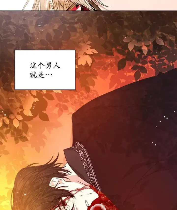 《穿书已经穿腻了》14.等待卡西翁图107