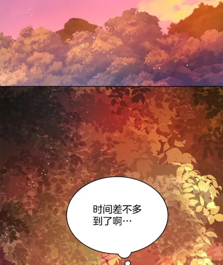 《穿书已经穿腻了》14.等待卡西翁图35