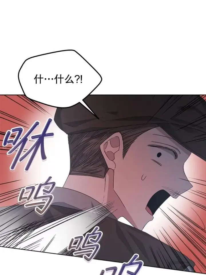 《穿书已经穿腻了》14.等待卡西翁图48