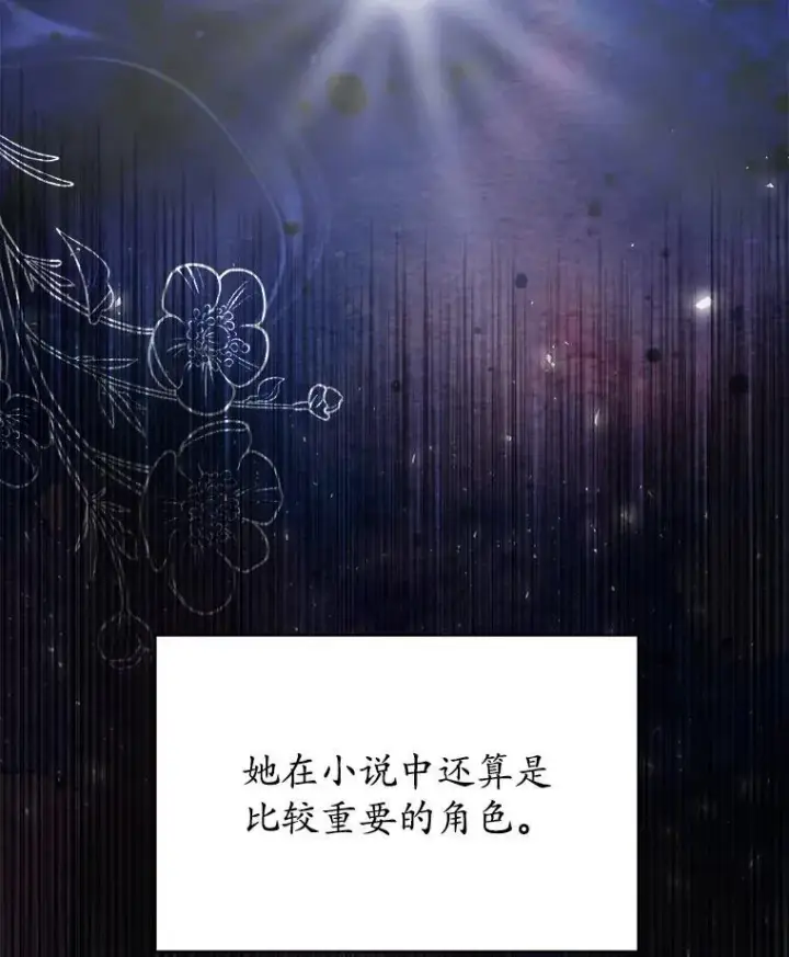 《穿书已经穿腻了》17.布兰卡夫人图94