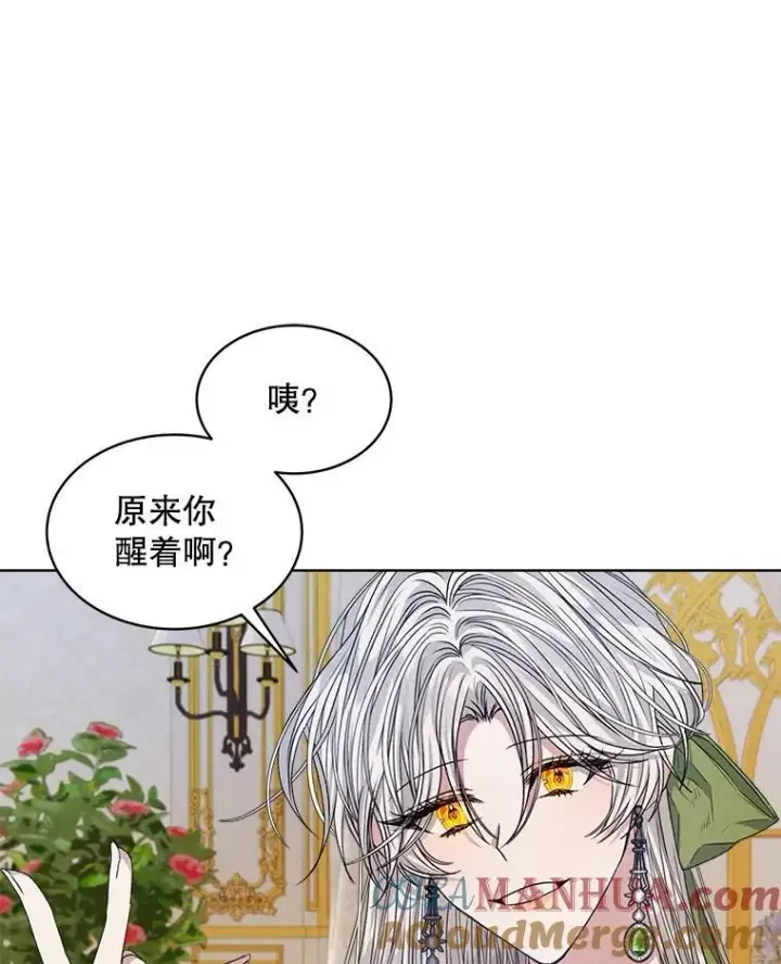 《穿书已经穿腻了》27.魔力图17