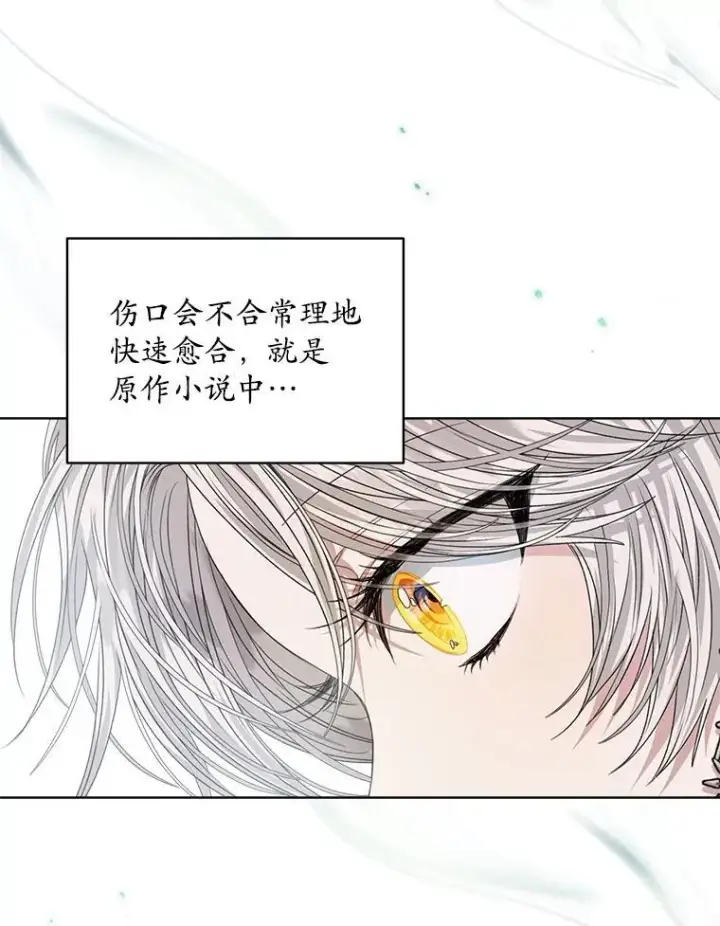 《穿书已经穿腻了》27.魔力图72