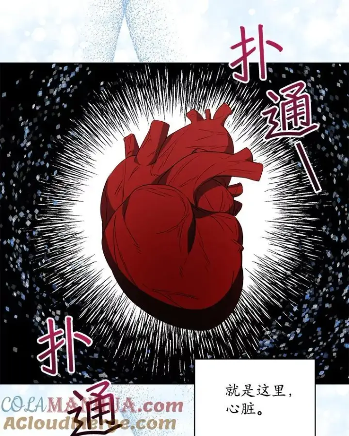 《穿书已经穿腻了》27.魔力图89