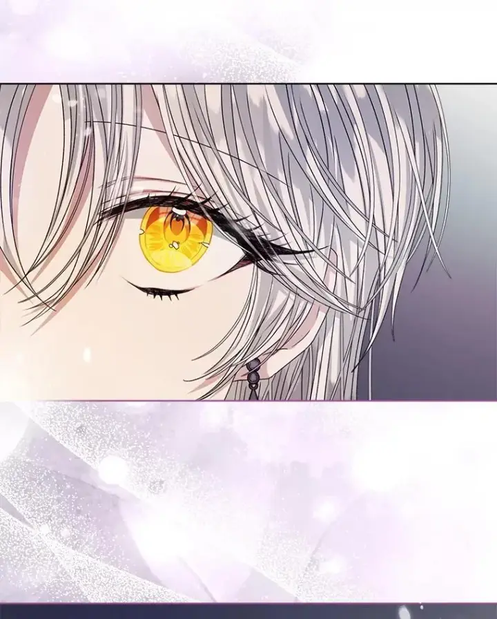 《穿书已经穿腻了》28.觉醒魔力图48
