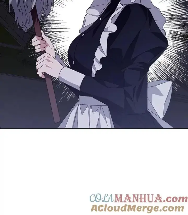 《穿书已经穿腻了》40.收获侍女图13