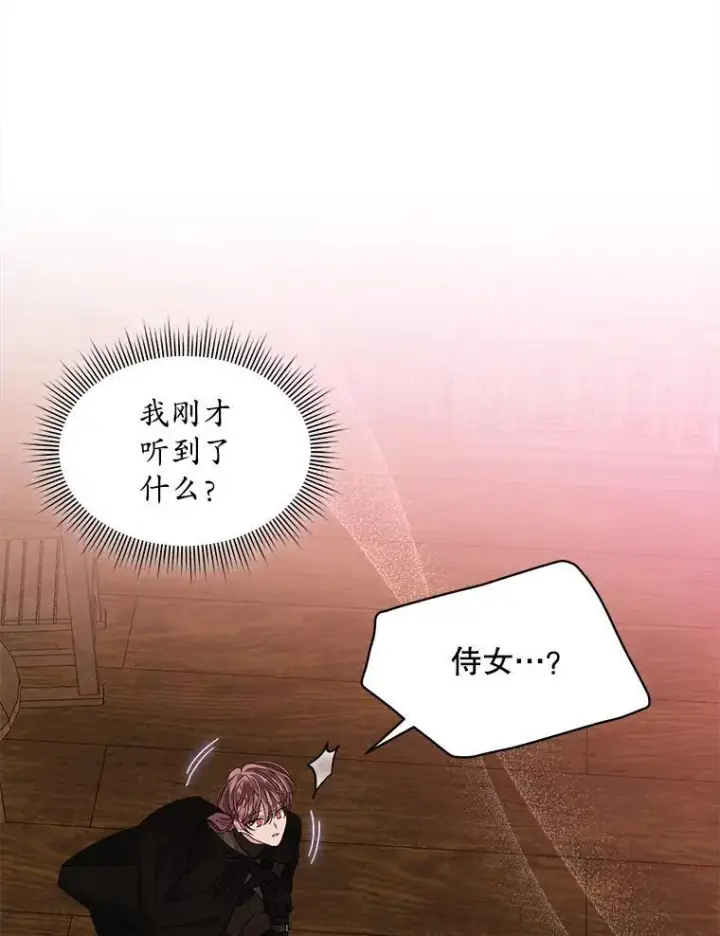 《穿书已经穿腻了》40.收获侍女图2