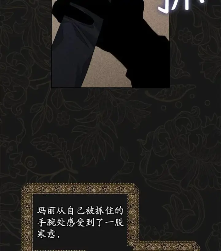 《穿书已经穿腻了》44.玛丽的王子图40