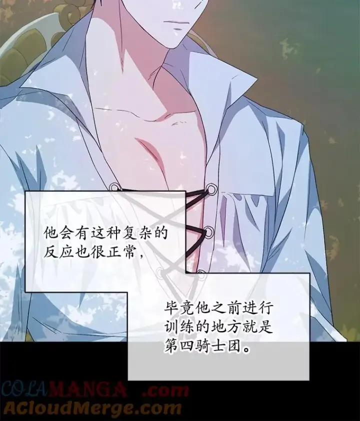 《穿书已经穿腻了》45.刺探骑士团图52