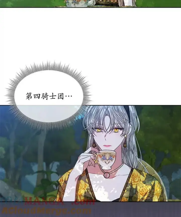 《穿书已经穿腻了》45.刺探骑士团图61