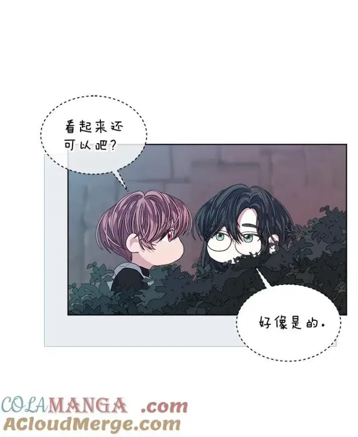 《穿书已经穿腻了》45.刺探骑士团图73