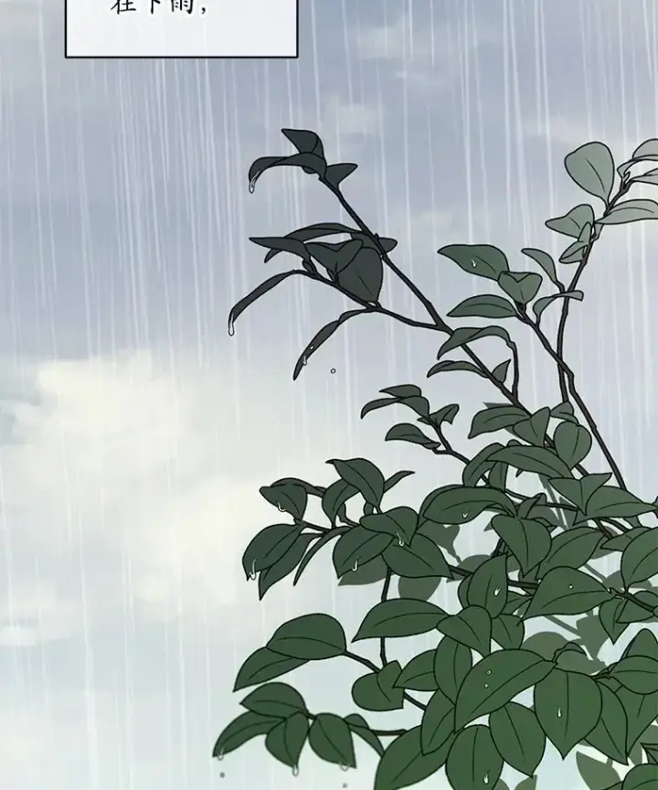 《穿书已经穿腻了》56.卡西翁的葬礼图2