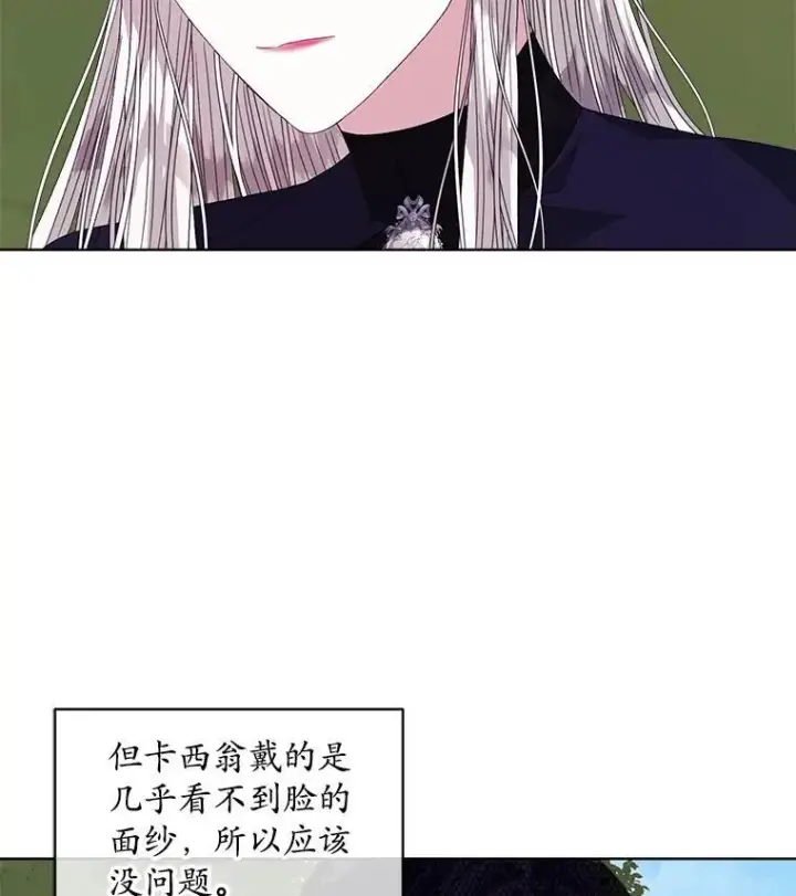 《穿书已经穿腻了》56.卡西翁的葬礼图31