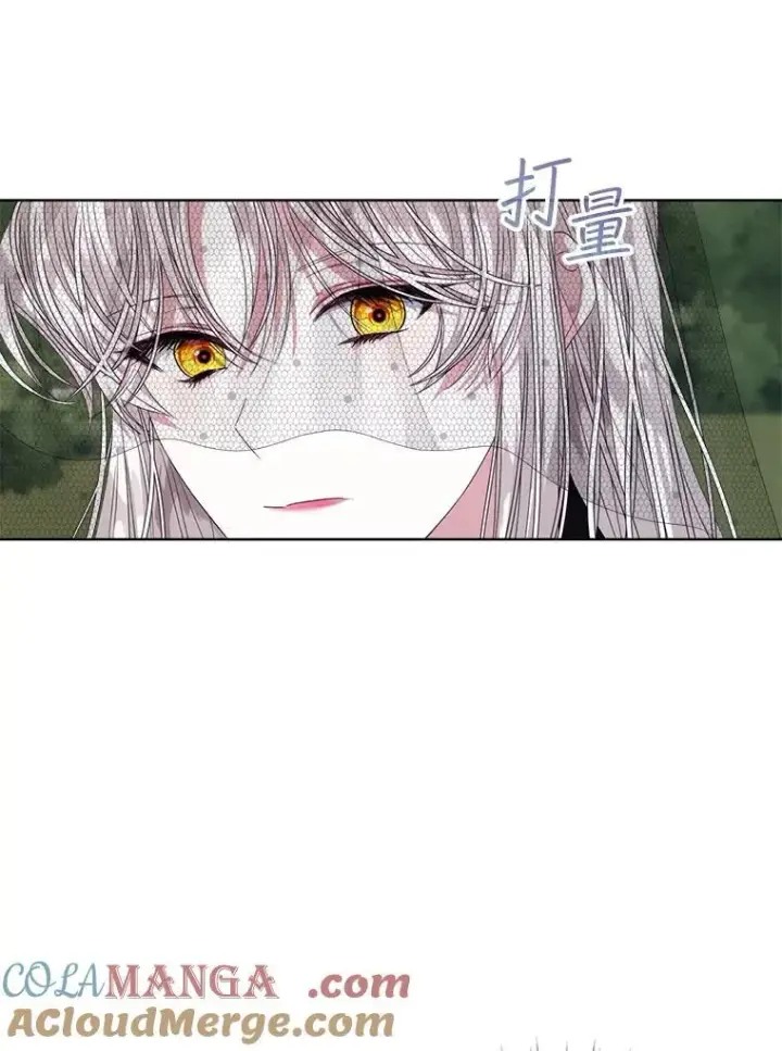 《穿书已经穿腻了》56.卡西翁的葬礼图33