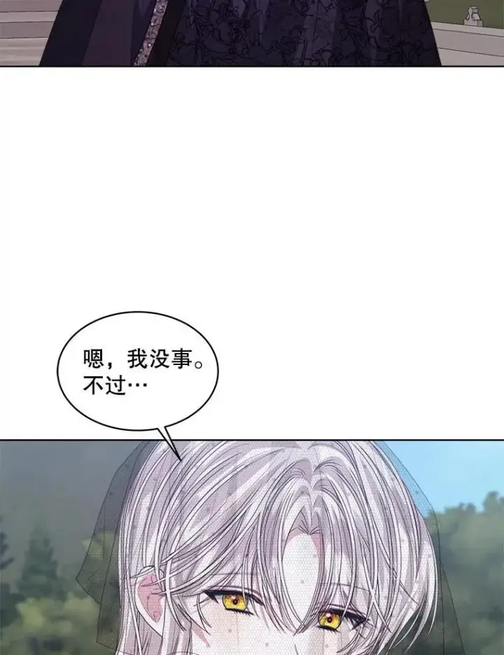 《穿书已经穿腻了》56.卡西翁的葬礼图39
