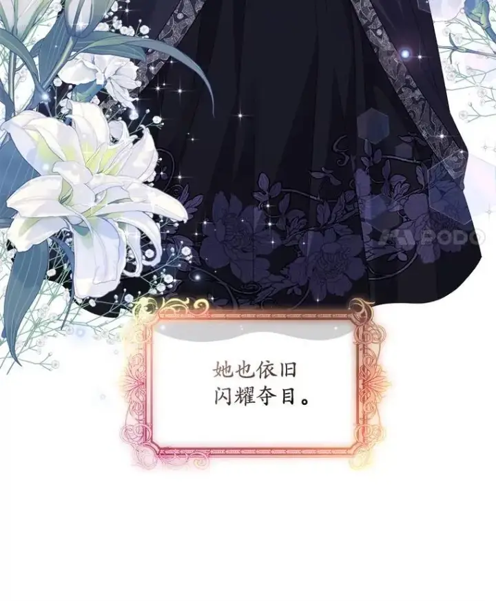 《穿书已经穿腻了》56.卡西翁的葬礼图47