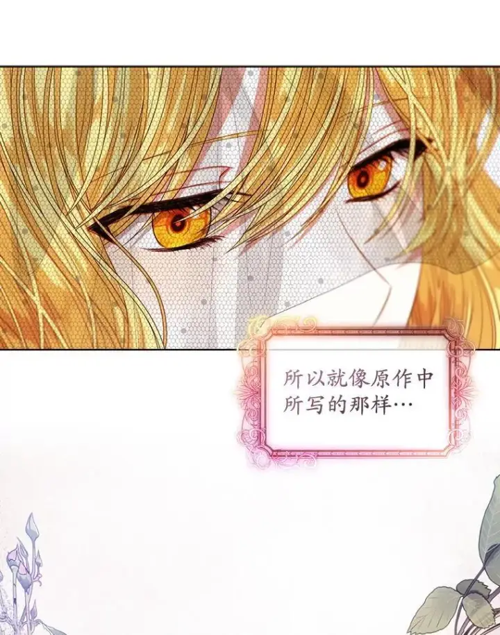 《穿书已经穿腻了》56.卡西翁的葬礼图48