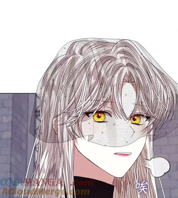 《穿书已经穿腻了》56.卡西翁的葬礼图53