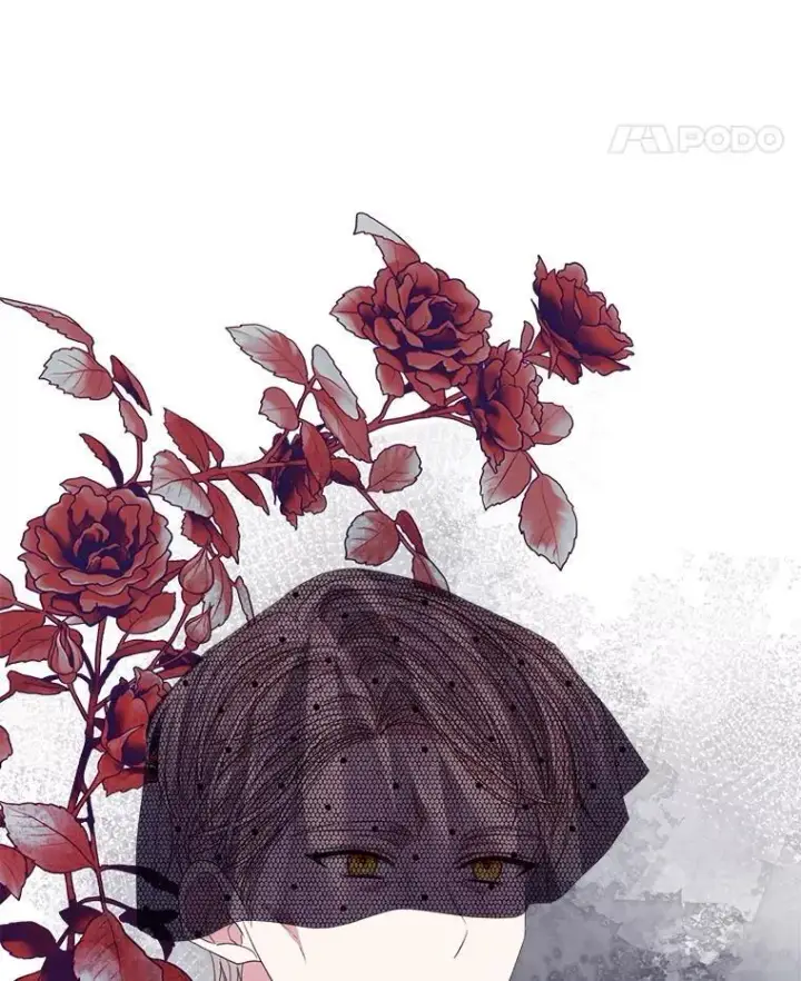 《穿书已经穿腻了》56.卡西翁的葬礼图58