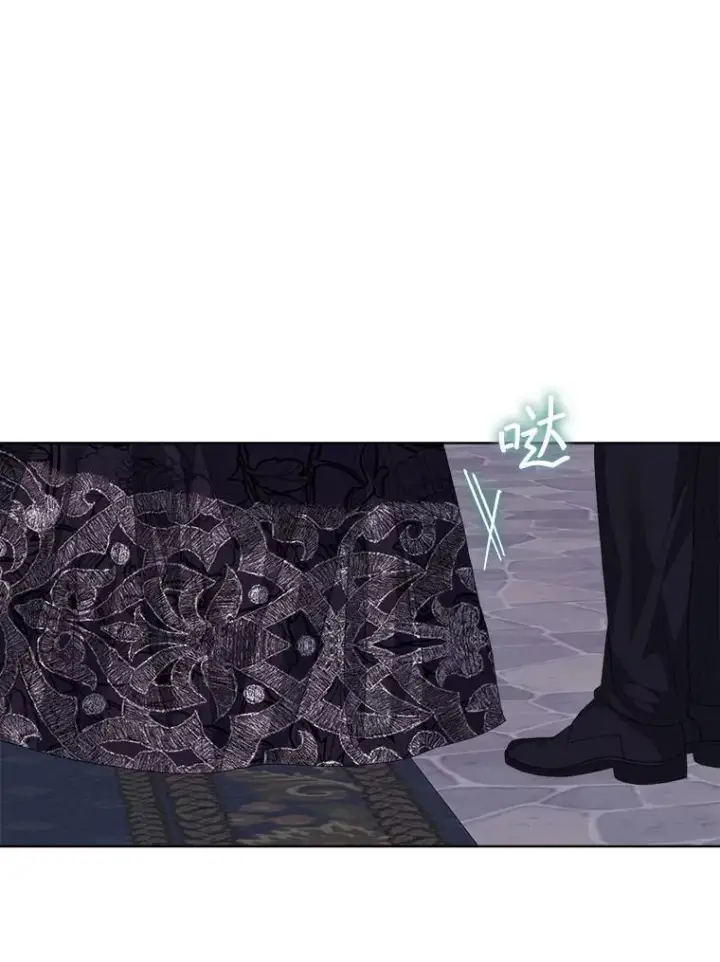 《穿书已经穿腻了》56.卡西翁的葬礼图71