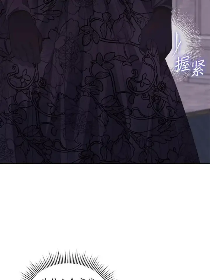 《穿书已经穿腻了》56.卡西翁的葬礼图76