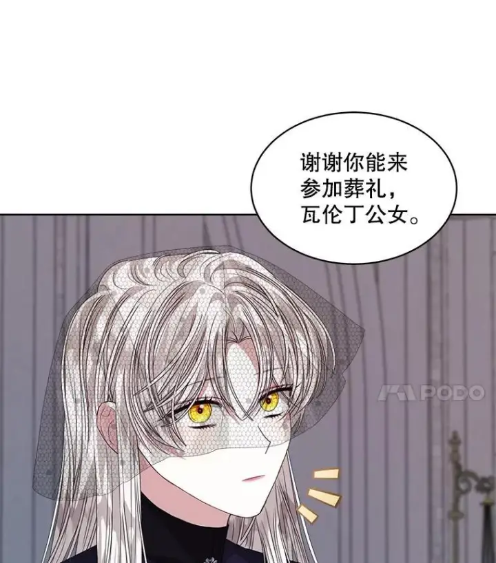 《穿书已经穿腻了》56.卡西翁的葬礼图78