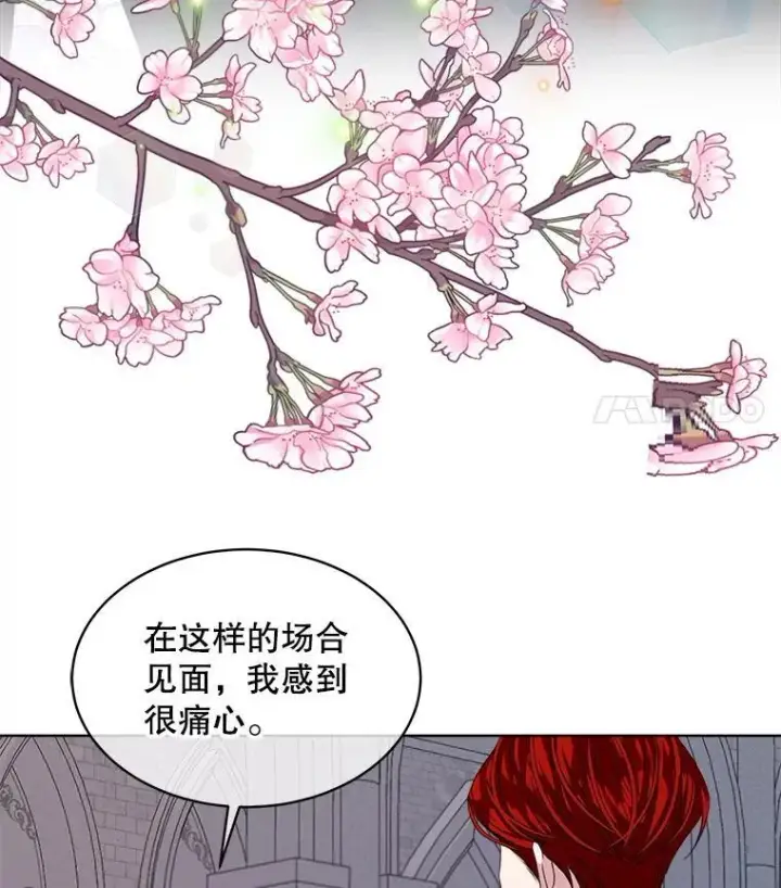 《穿书已经穿腻了》56.卡西翁的葬礼图82
