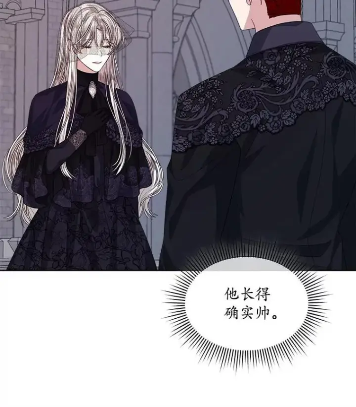 《穿书已经穿腻了》56.卡西翁的葬礼图83
