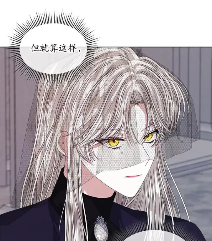 《穿书已经穿腻了》56.卡西翁的葬礼图84