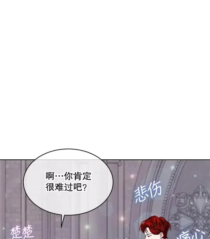 《穿书已经穿腻了》56.卡西翁的葬礼图87