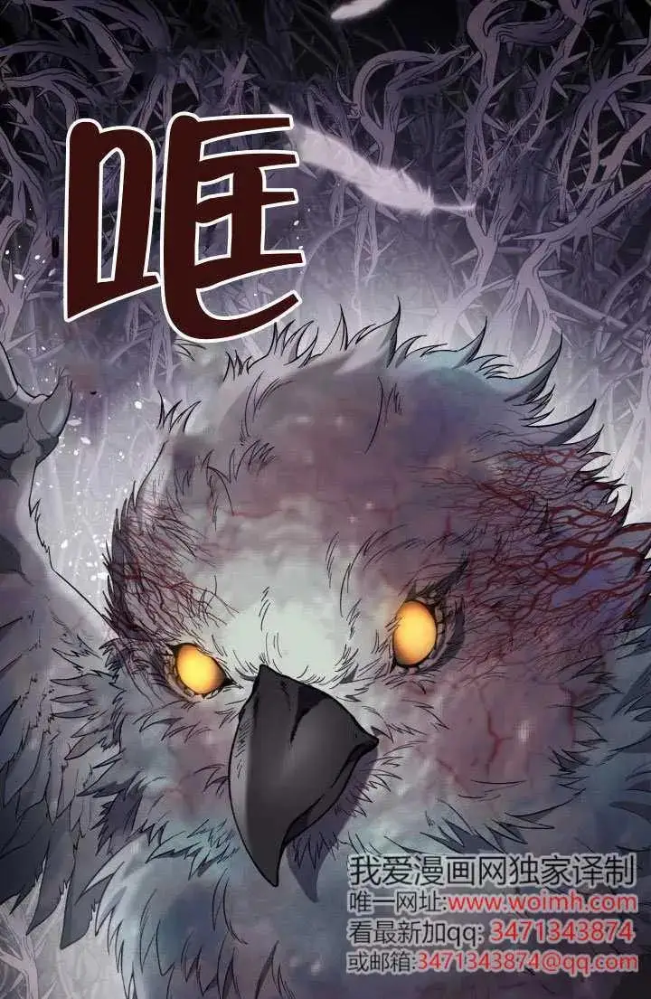《穿越者的幸运礼》第135话图79