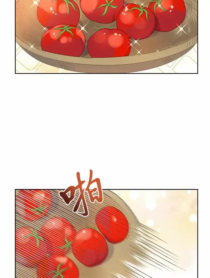 《穿越者的幸运礼》10.成功报仇图9