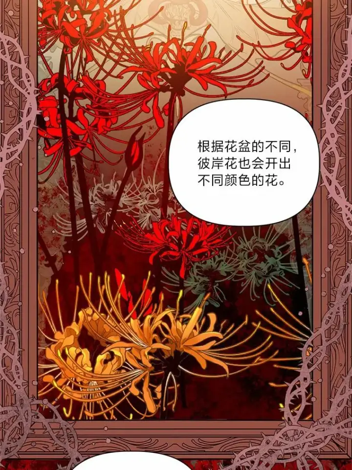 《穿越者的幸运礼》26.一二三彼岸花图62