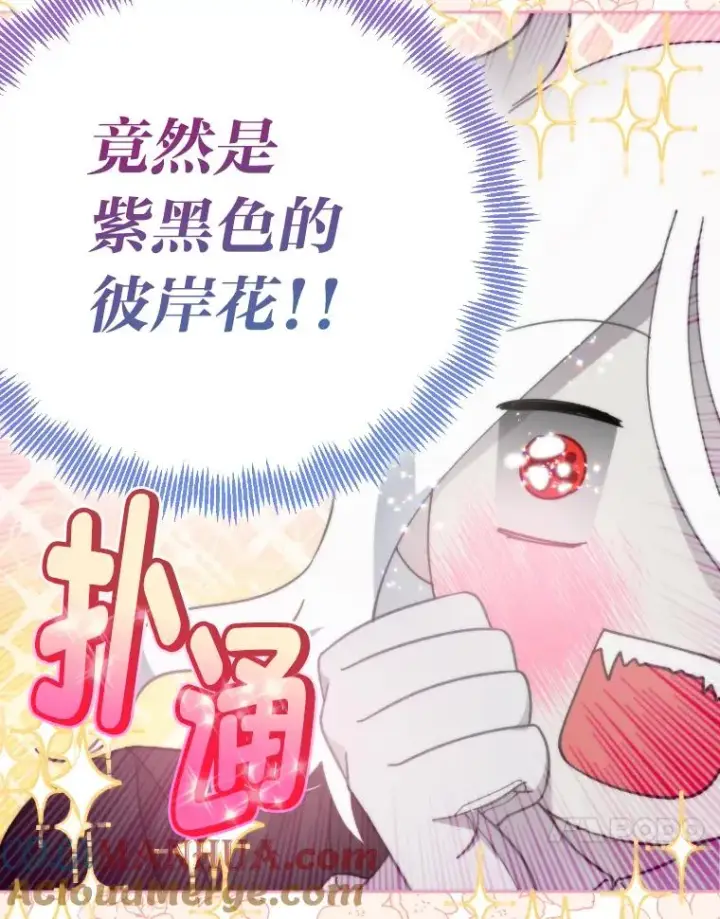 《穿越者的幸运礼》27.紫黑色彼岸花图31