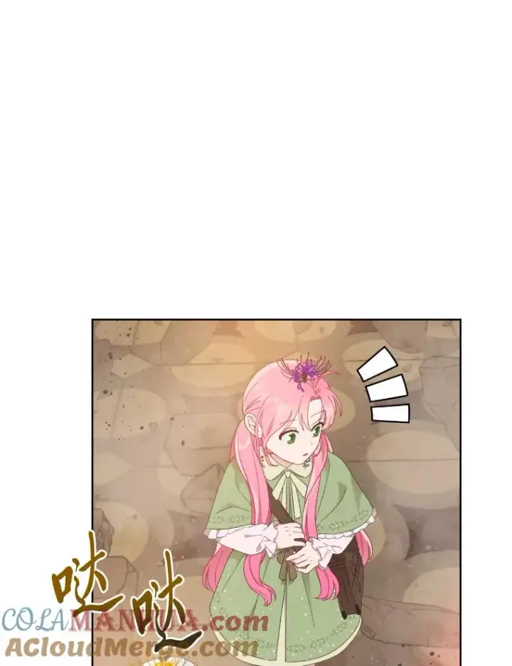 《穿越者的幸运礼》27.紫黑色彼岸花图73