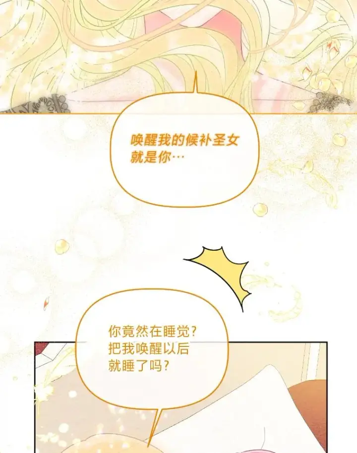 《穿越者的幸运礼》30.传说的圣女图119