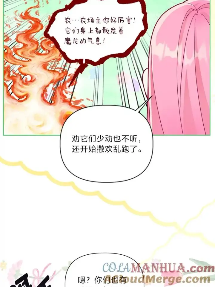 《穿越者的幸运礼》49.哥哥带回的消息图16
