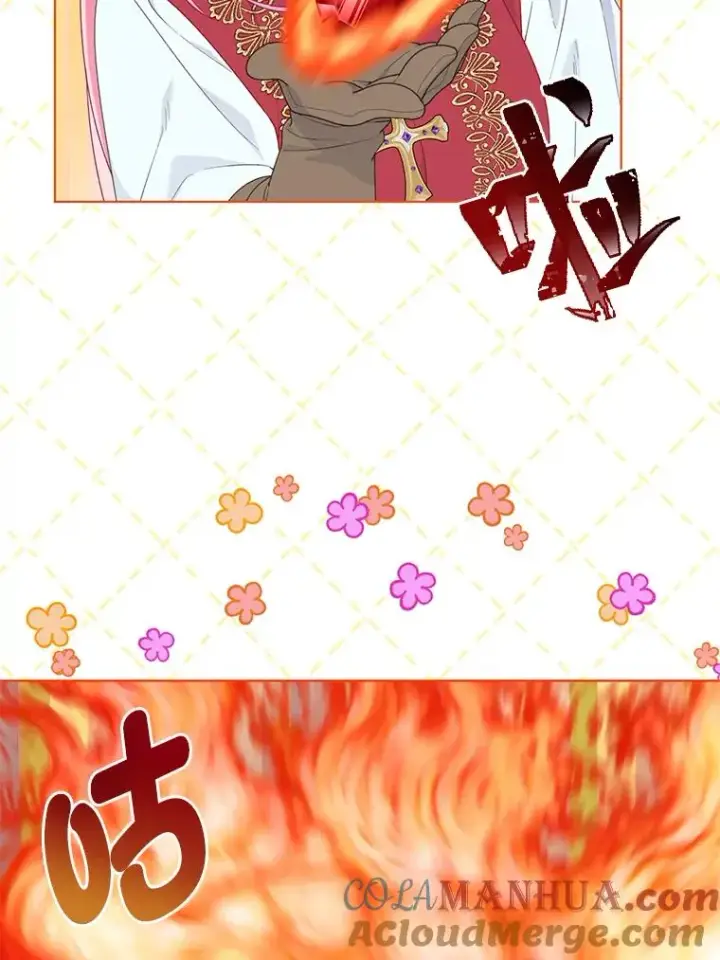 《穿越者的幸运礼》49.哥哥带回的消息图28