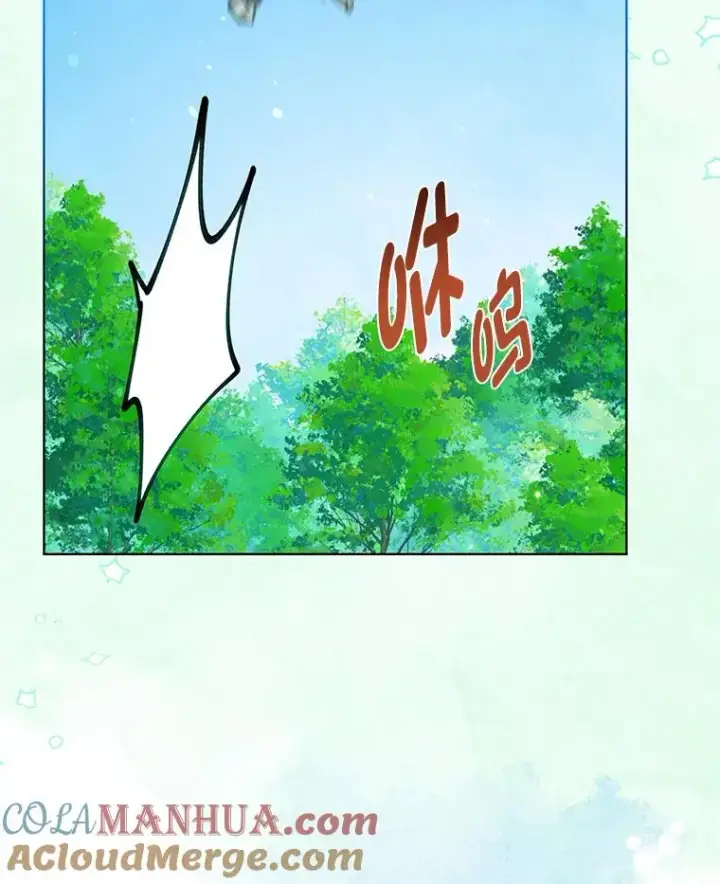 《穿越者的幸运礼》49.哥哥带回的消息图46