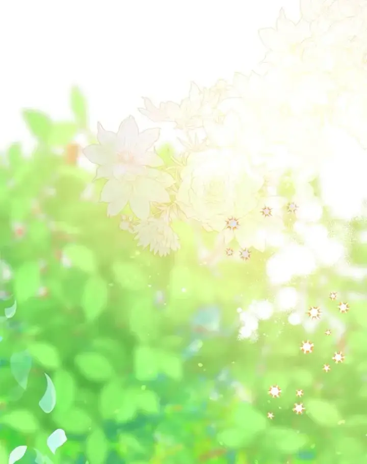 《穿越者的幸运礼》49.哥哥带回的消息图56