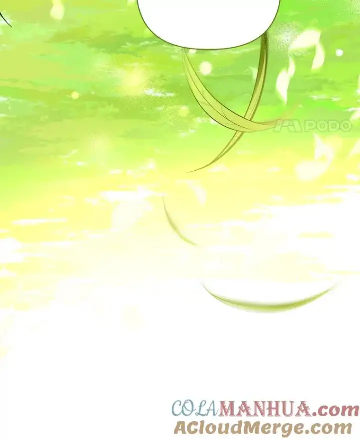 《穿越者的幸运礼》49.哥哥带回的消息图91