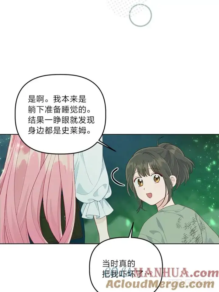 《穿越者的幸运礼》53.纯金苹果团图49