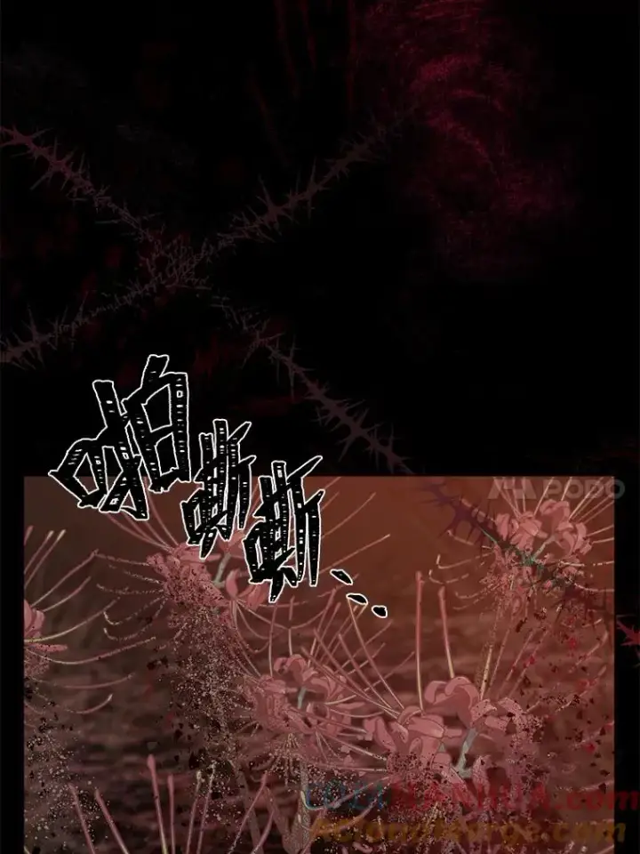 《穿越者的幸运礼》59.归属图82